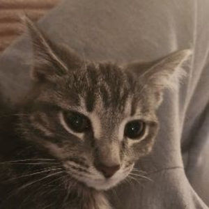 Meet your Posher, Grace